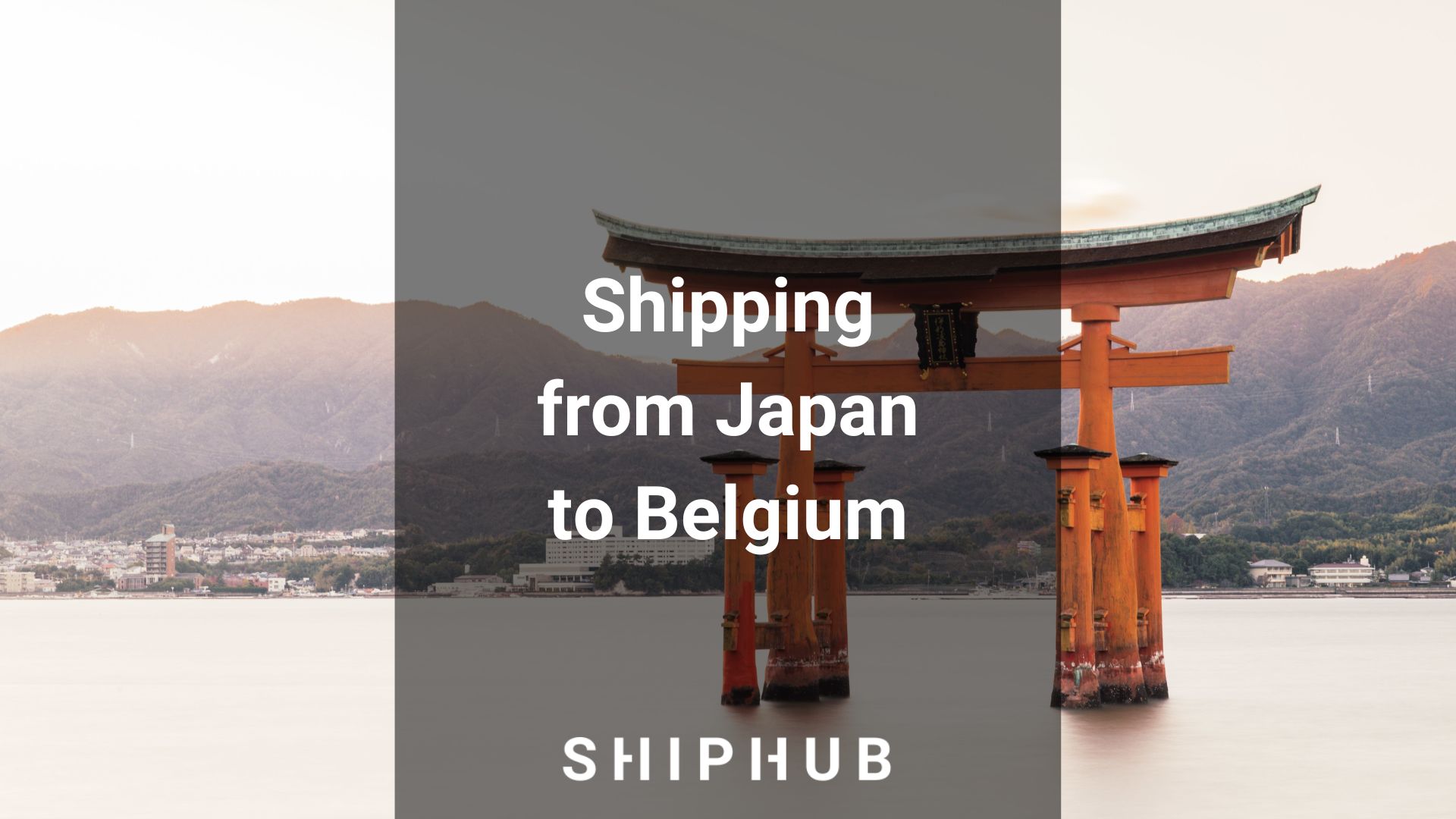 Shipping from Japan to Belgium